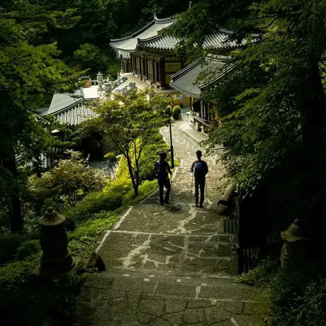 Two people walking a stone path through a wooded temple site